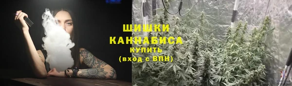 ГАЛЛЮЦИНОГЕННЫЕ ГРИБЫ Горно-Алтайск