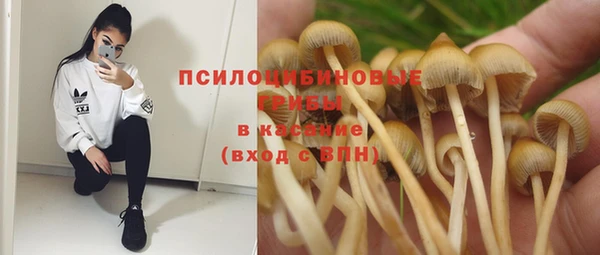 ГАЛЛЮЦИНОГЕННЫЕ ГРИБЫ Горно-Алтайск