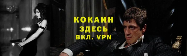ГАЛЛЮЦИНОГЕННЫЕ ГРИБЫ Горно-Алтайск