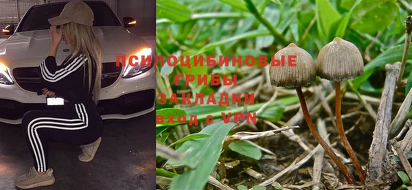 ГАЛЛЮЦИНОГЕННЫЕ ГРИБЫ Горно-Алтайск