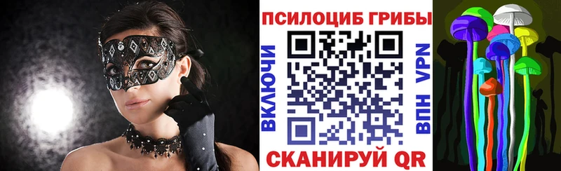 Псилоцибиновые грибы прущие грибы  Чердынь 